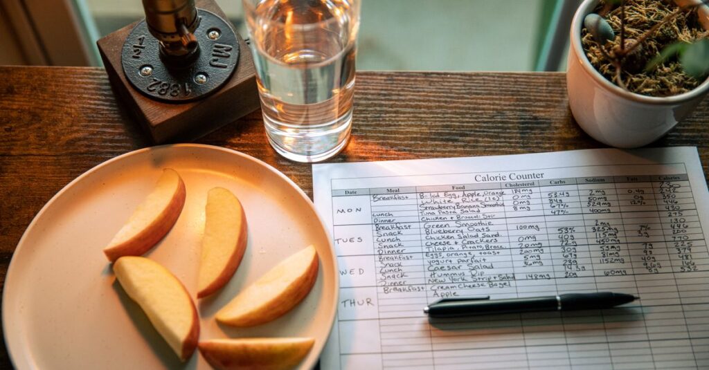 一人暮らし、共働き、高齢者、ダイエットなど目的別に宅食の選び方を示す図解イラスト