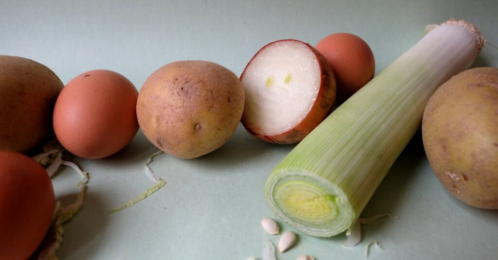 宅食を使って感じたメリットと不満点を生活シーンに基づいて説明した図解。時短・外食減・冷凍庫問題など