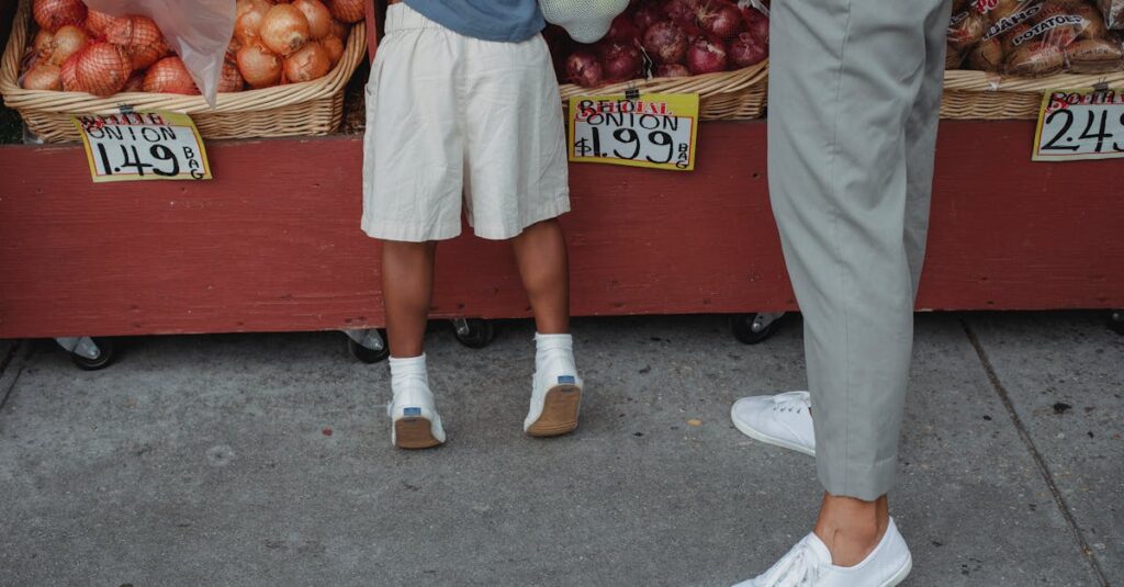 安くて栄養バランスの取れた宅食サービスを比較したイラスト図